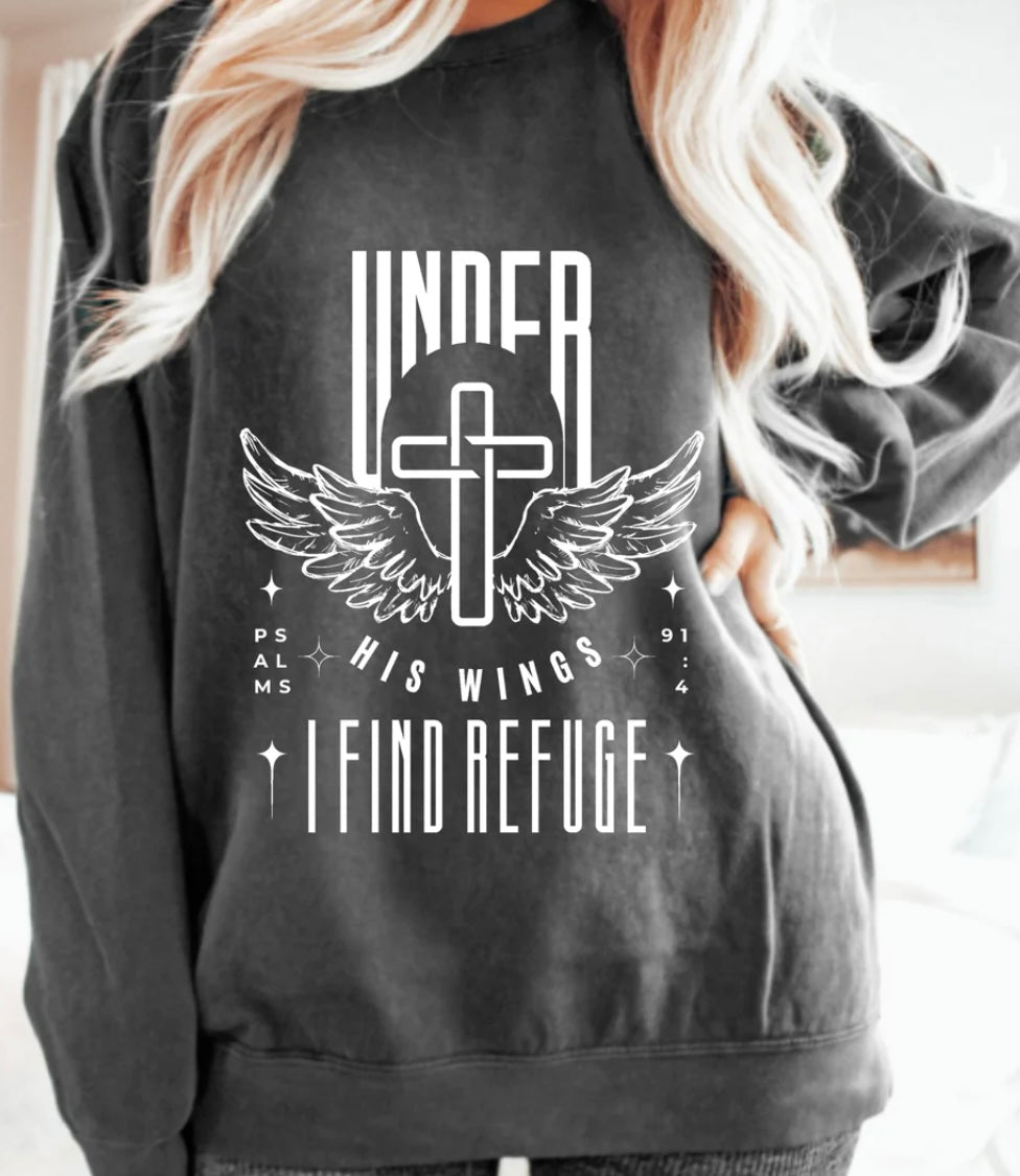 Under His Wings I Find Refuge Psalms 91:4